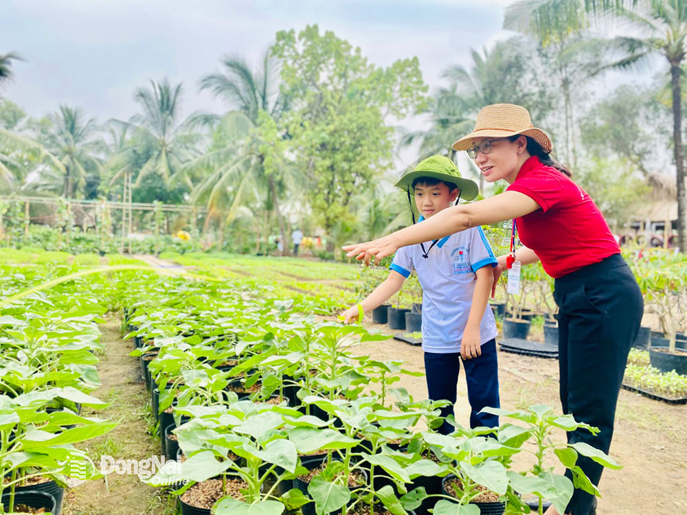 Học sinh tham quan mô hình nông nghiệp tại Làng du lịch sinh thái Tre Việt (H.Nhơn Trạch)