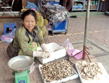 Nấm mối được bán tại chợ Biên Hòa. Ảnh: K.Liễu