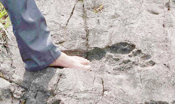 Huge footprints in the rock. Source: Collector