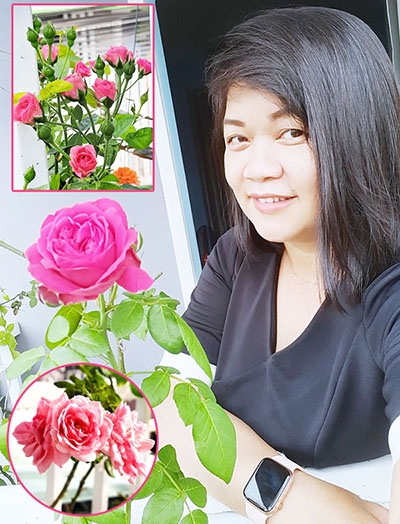 Chị Ngô Thanh Trúc (P.Bửu Hòa, TP.Biên Hòa) bên những khóm hoa hồng khoe sắc trước hiên nhà