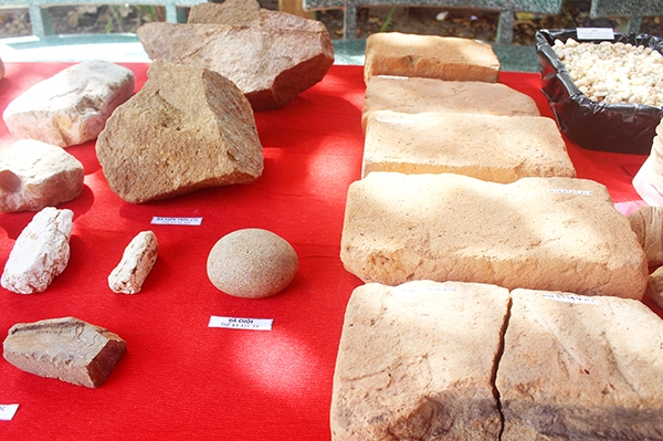 Một số hiện vật thu được trong khai quật khảo cổ học tại địa điểm Long Hưng và Tân Lại
