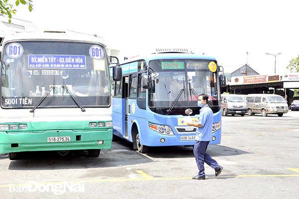 Ảnh hưởng của dịch Covid-19 khiến nhiều tuyến xe buýt tiếp tục gặp khó khăn. Trong ảnh: Một số xe buýt chạy theo tuyến đậu tại Bến xe Biên Hòa. Ảnh: Thanh Hải