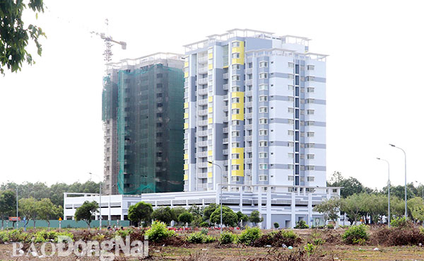 Đầu tư chung cư cao tầng tại Trung tâm H.Nhơn Trạch. Ảnh: Hương Giang