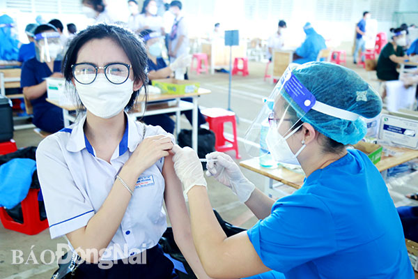 1. Học sinh Trường TH-THCS-THPT Đinh Tiên Hoàng (TP.Biên Hòa) được tiêm vaccine ngừa Covid-19