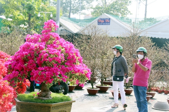 Người dân đến tham khảo các loại hoa Tết tại hội chợ hoa xuân ở Trung tâm Hội nghị và tổ chức sự kiện tỉnh (TP.Biên Hòa).