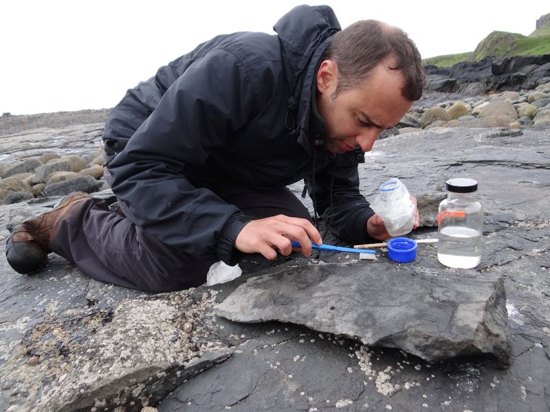 University of Edinburgh paleontologist Steve Brusatte works to conserve part of the fossil of a newly identified Jurassic Period flying reptile, at Scotland’s Isle of Skye