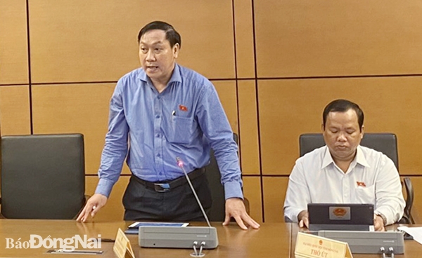 Phó trưởng đoàn chuyên trách Đoàn đại biểu Quốc hội tỉnh Đồng Nai Bùi Xuân Thống phát biểu tại phiên họp chiều 1-6. Ảnh: Hải Yến
