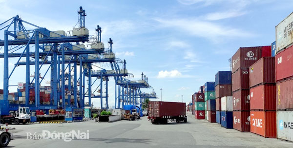 Hoạt động xuất, nhập khẩu tại một cảng biển ở TP.HCM. Ảnh: Văn Gia