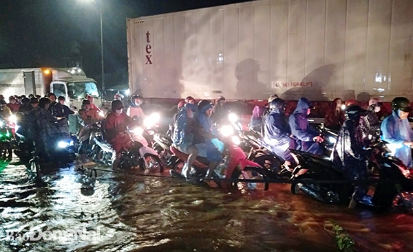 Nhiều nơi nước ngập gần nữa bánh xe, khiến các phương tiện giao thông không thể di chuyển