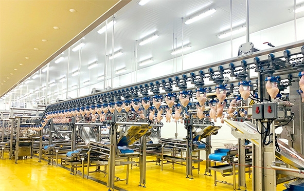 Dây chuyền chế biến thịt gà của Công ty CP Chăn nuôi C.P. Việt Nam để xuất khẩu đi Nhật Bản