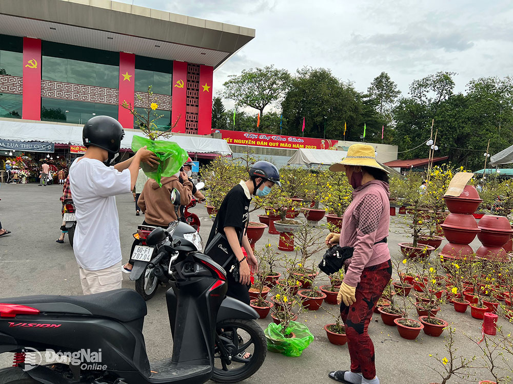 Nhiều người dân tranh thủ chọn mua các loại hoa Tết trước giờ hội chợ hoa xuân đóng cửa. (Ảnh: Hải Hà)