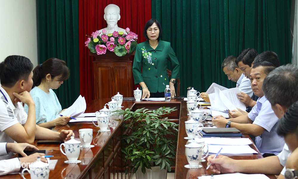 Phó chủ tịch UBND tỉnh Nguyễn Thị Hoàng kết luận buổi làm việc