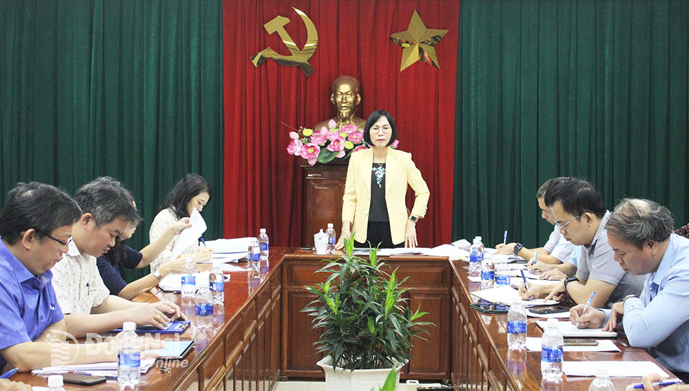 Phó chủ tịch UBND tỉnh Nguyễn Thị Hoàng chủ trì cuộc họp. Ảnh: Văn Gia