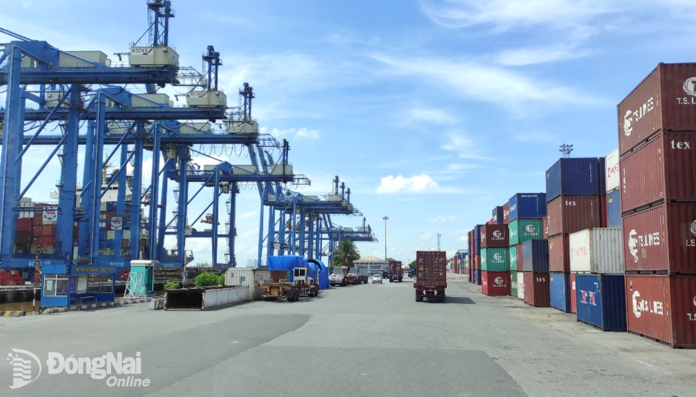 Cước phí vận tải biển giảm sẽ giúp doanh nghiệp xuất - nhập khẩu “dễ thở” hơn. Trong ảnh: Bốc dỡ container hàng hóa xuất - nhập khẩu tại khu vực Cảng Cát Lái