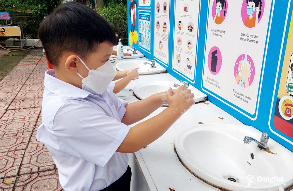 Thường xuyên rửa tay bằng xà phòng để phòng bệnh cúm gia cầm H5N1