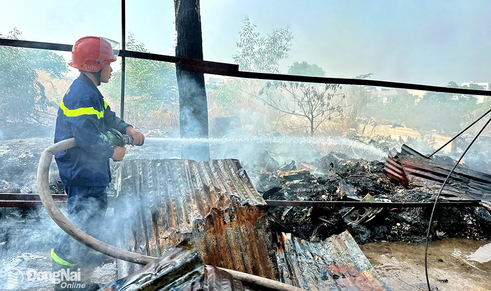 Lực lượng chữa cháy của tỉnh và TP.Biên Hòa dập tắt đám cháy cỏ khiến hơn 200 hộ dân P.Tân Hiệp (TP.Biên Hòa) mất điện ngày 25-2