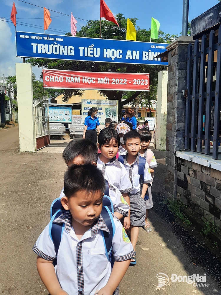 Đoàn viên Trường tiểu học An Bình tổ chức cho học sinh qua đường khi vào và tan học. Ảnh: Đ.Phú