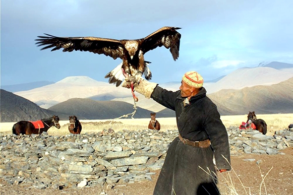 Người dân Mông Cổ săn bắt động vật với sự trợ giúp của đại bàng. Nguồn: mongolia-trips.com