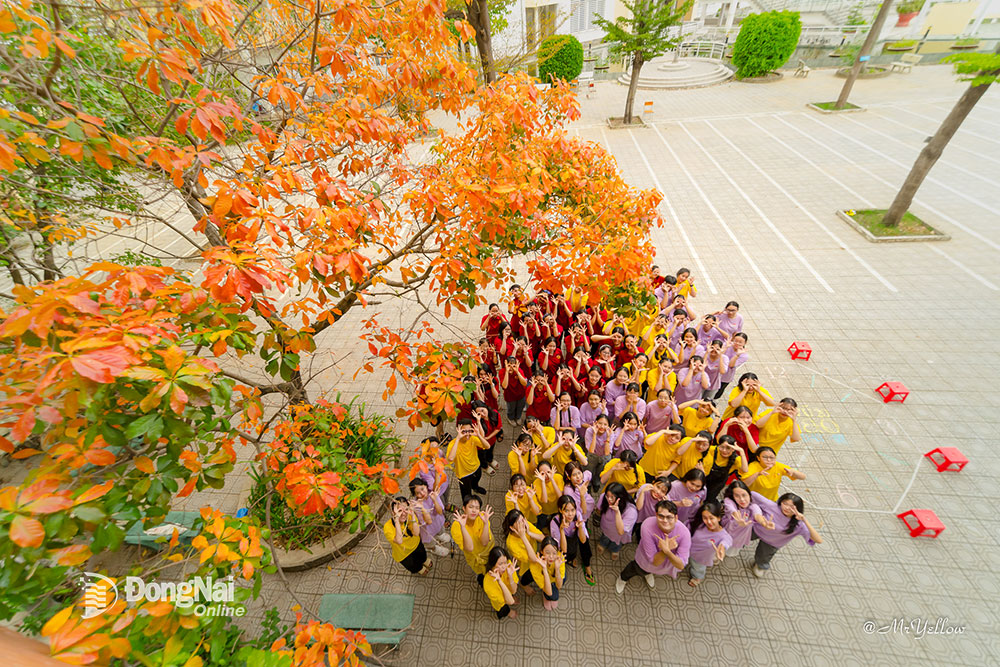 Một góc sân Trường THPT chuyên Lương Thế Vinh (TP.Biên Hòa) long lanh trong bộ ảnh kỷ yếu của học sinh lớp 12