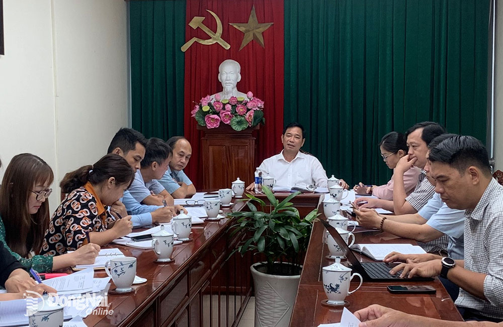 Phó chủ tịch UBND tỉnh Võ Văn Phi chủ trì buổi làm việc. Ảnh: B.Nguyên