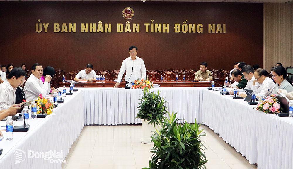 Chủ tịch UBND tỉnh Cao Tiến Dũng phát biểu tại buổi làm việc. Ảnh: Phạm Tùng