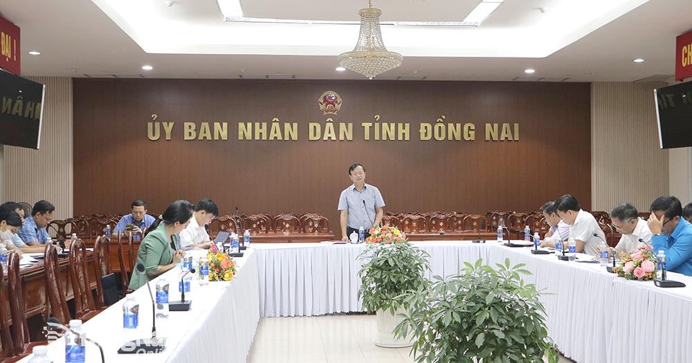 Chủ tịch UBND tỉnh Cao Tiến Dũng phát biểu kết luận buổi làm việc