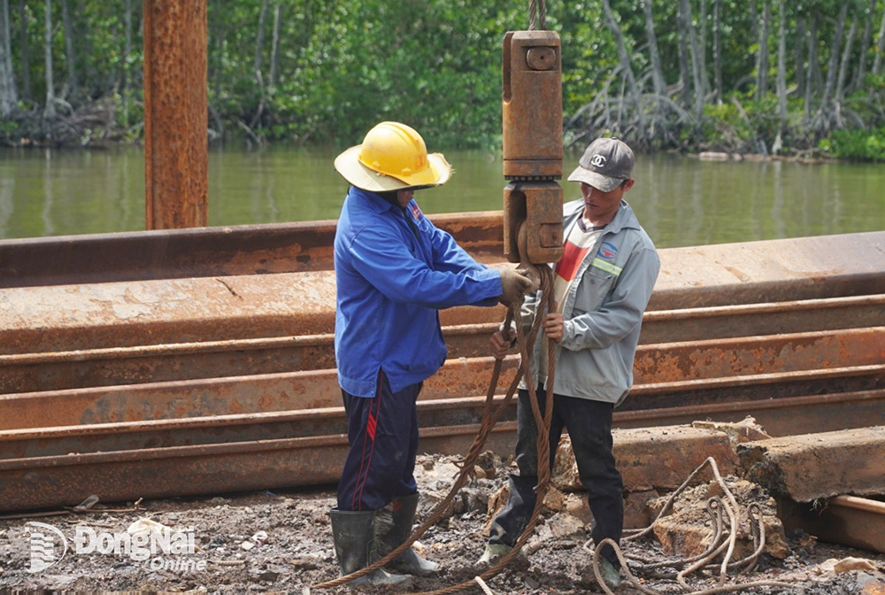 Phần cao tốc qua Đồng Nai dài 27 km và đi qua vùng địa chất phức tạp, có nhiều sông ngòi, sình lầy. Trong đó, 3,3 km đi qua khu rừng ngập mặn với những vạt cây đước, vẹt...