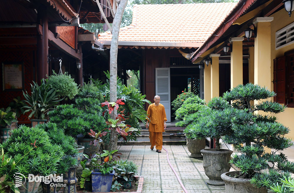 Một góc mảng xanh tại Thiền viện Phước Nghiêm, xã Phước Thái (H.Long Thành). Ảnh: SÔNG THAO