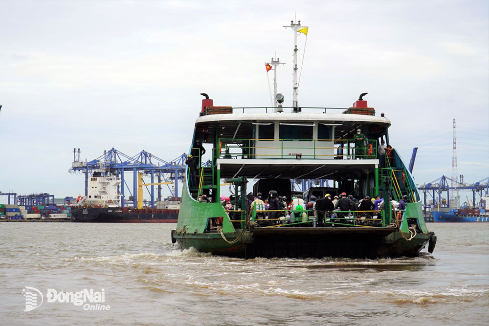 Sở GT-VT TP.HCM đề xuất thời gian xây dựng cầu thay phà Cát Lái sau năm 2030