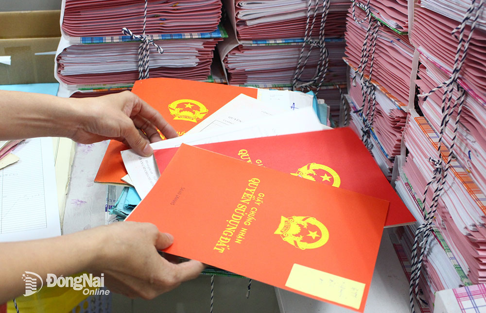 Sổ đỏ tồn đọng tại Văn phòng Đăng ký đất đai Đồng Nai chi nhánh TP.Biên Hòa. Ảnh: H.Lộc