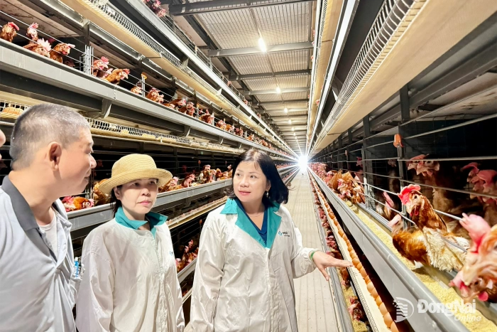 Nhà nông bứt phá cùng Nghị quyết 57