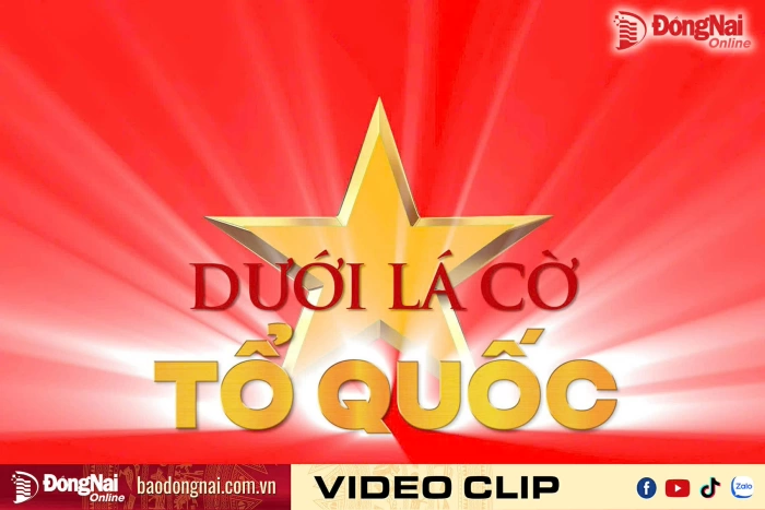 [Video] Dưới lá cờ Tổ quốc: Đi giữa rừng xanh, hiểu thêm lịch sử