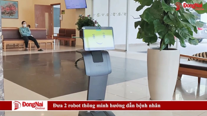 Đưa 2 robot thông minh hướng dẫn bệnh nhân