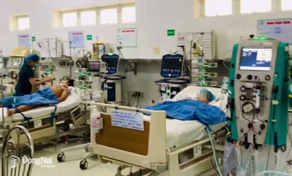 Lọc máu cứu bệnh nhân ngộ độc thuốc trừ sâu tại Bệnh viện Nhi đồng Đồng Nai
