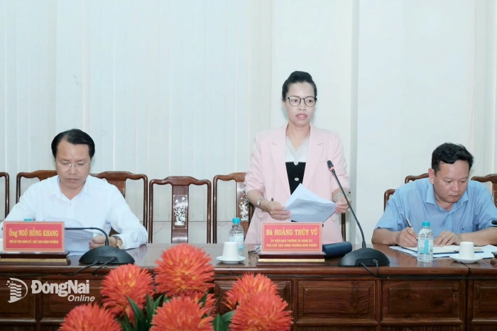 Phường Bình Phước rà soát công tác chuẩn bị tổ chức mừng Xuân Bính Ngọ