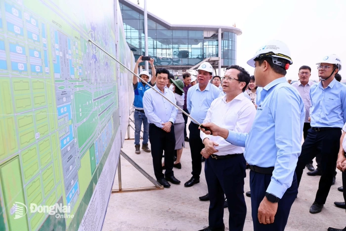 Advising on exceptional mechanisms to maximize the advantages of Long Thanh Airport
