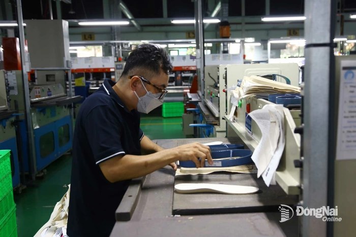 Doanh nghiệp chủ động thực hiện nghĩa vụ thuế