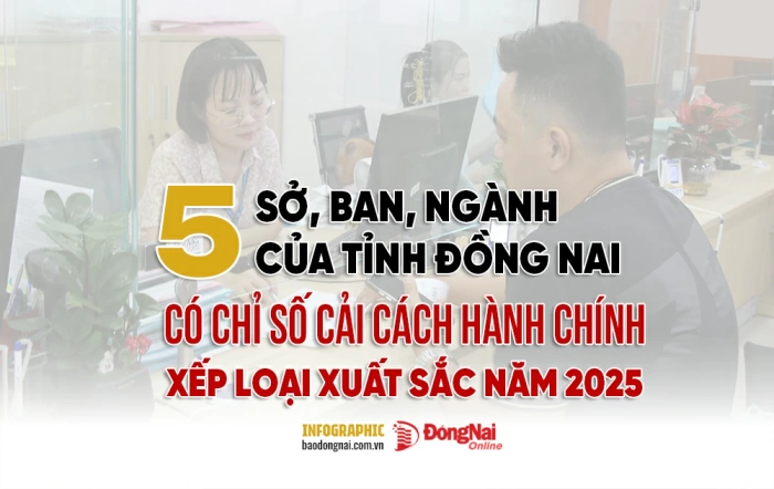 [Infographic] 5 sở, ban, ngành nào của Đồng Nai có Chỉ số cải cách hành chính xếp loại xuất sắc năm 2025?