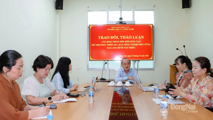 Tư vấn mô hình phát triển du lịch nông nghiệp gắn với đổi mới sáng tạo tại làng bưởi Tân Triều