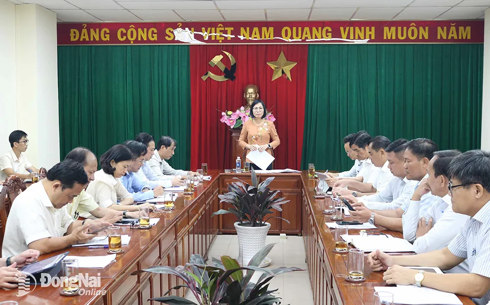 Phó chủ tịch UBND tỉnh Nguyễn Thị Hoàng chủ trì cuộc họp
