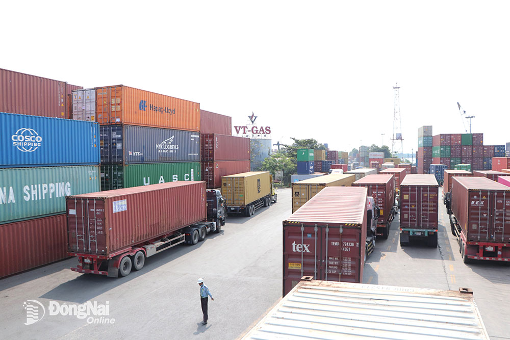 Hoạt động xuất, nhập khẩu hàng hóa tại Cảng Đồng Nai. Ảnh: N.Liên