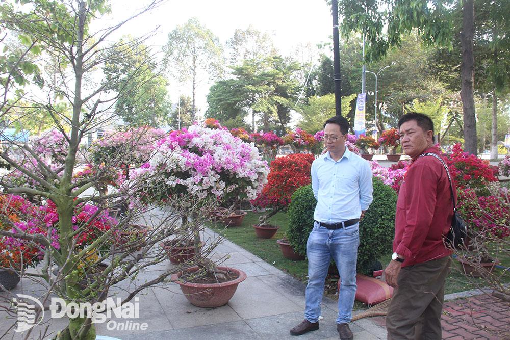 Người dân đến tham khảo, chọn mua các loại hoa tết tại hội chợ hoa xuân tại Trung tâm Hội nghị và tổ chức sự kiện tỉnh. (Ảnh: Hải Quân)