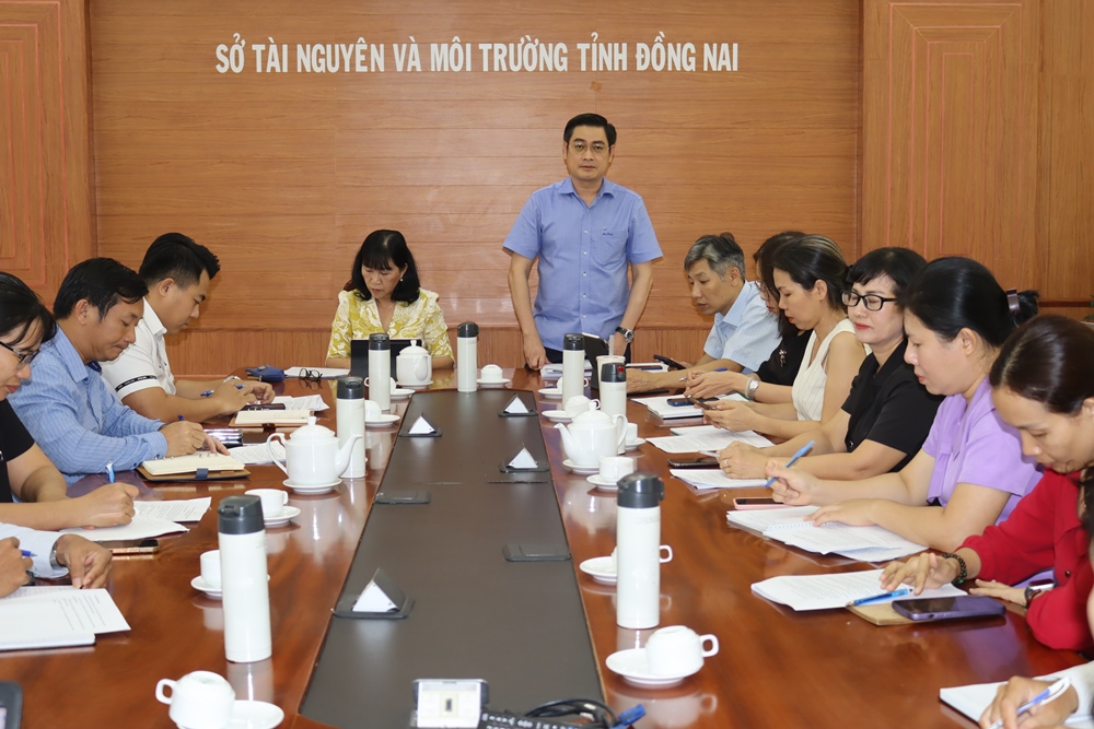 Phó giám đốc Sở TN-MT Trần Trọng Toàn chia sẻ nội dung thực hiện mô hình