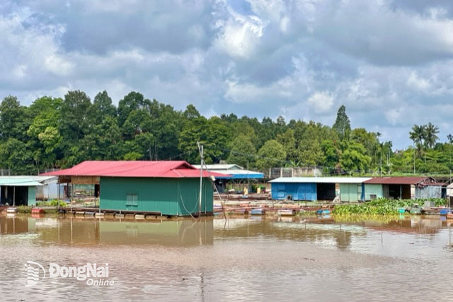 Đề phòng sạt lở đất, sụt lún đất tại đoạn thượng lưu sông Đồng Nai và La Ngà