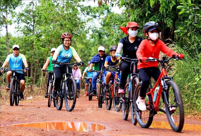 Cyclists enjoy a ride in the Dong Nai Culture and Nature Reserve – PHOTO: VNA
