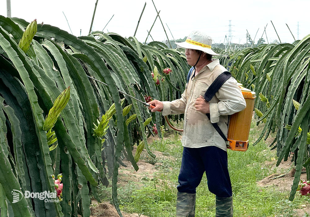 Thời tiết bất thường ảnh hưởng đến sản xuất nông nghiệp