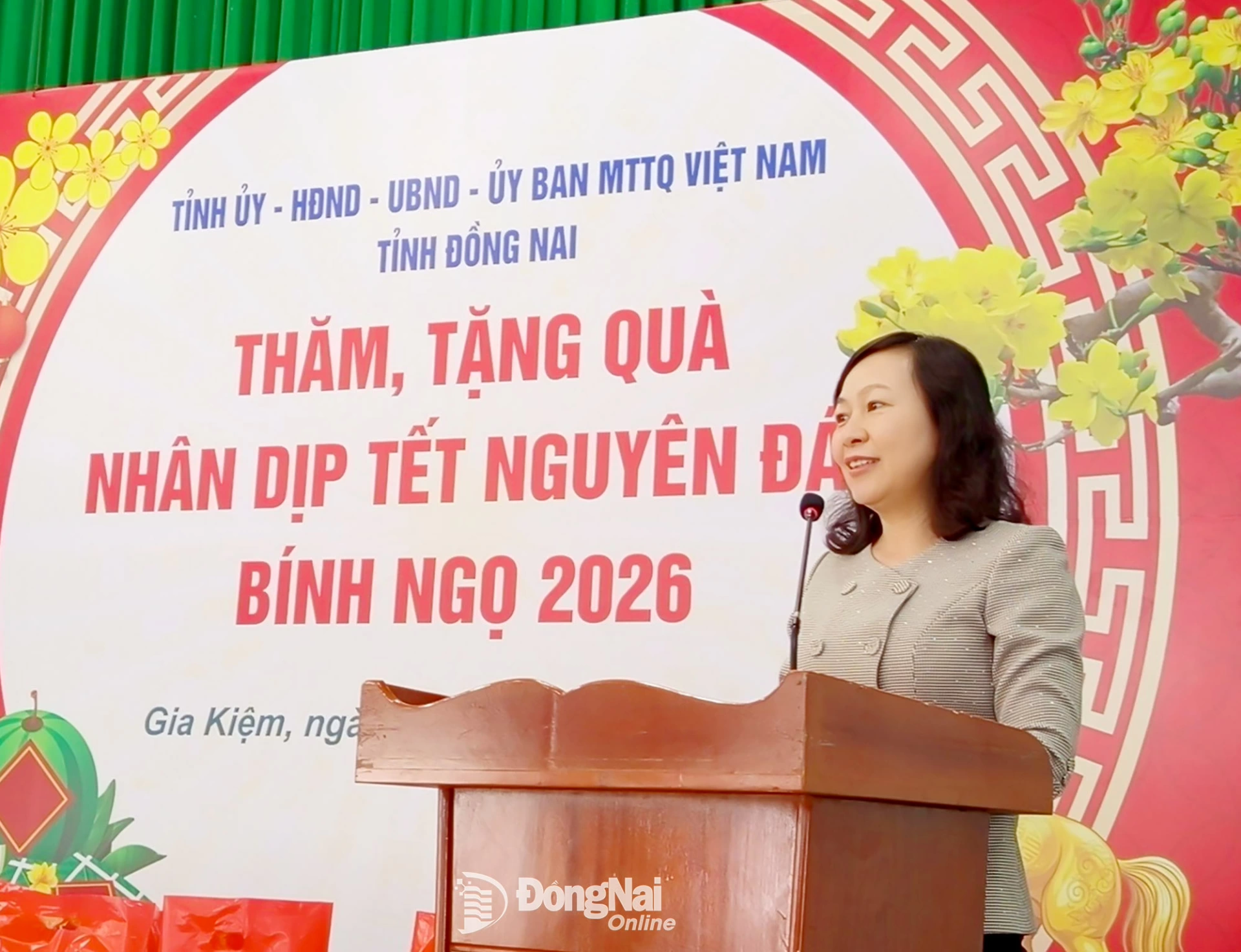 Deputy Secretary of the PPC and Chairwoman of the Provincial VFF Committee Huynh Thi Hang delivers remarks encouraging residents of Gia Kiem commune. Photo: Tien Thu


