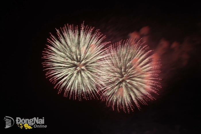 Brilliant high-altitude fireworks illuminate Dong Nai River on Lunar New Year’s Eve