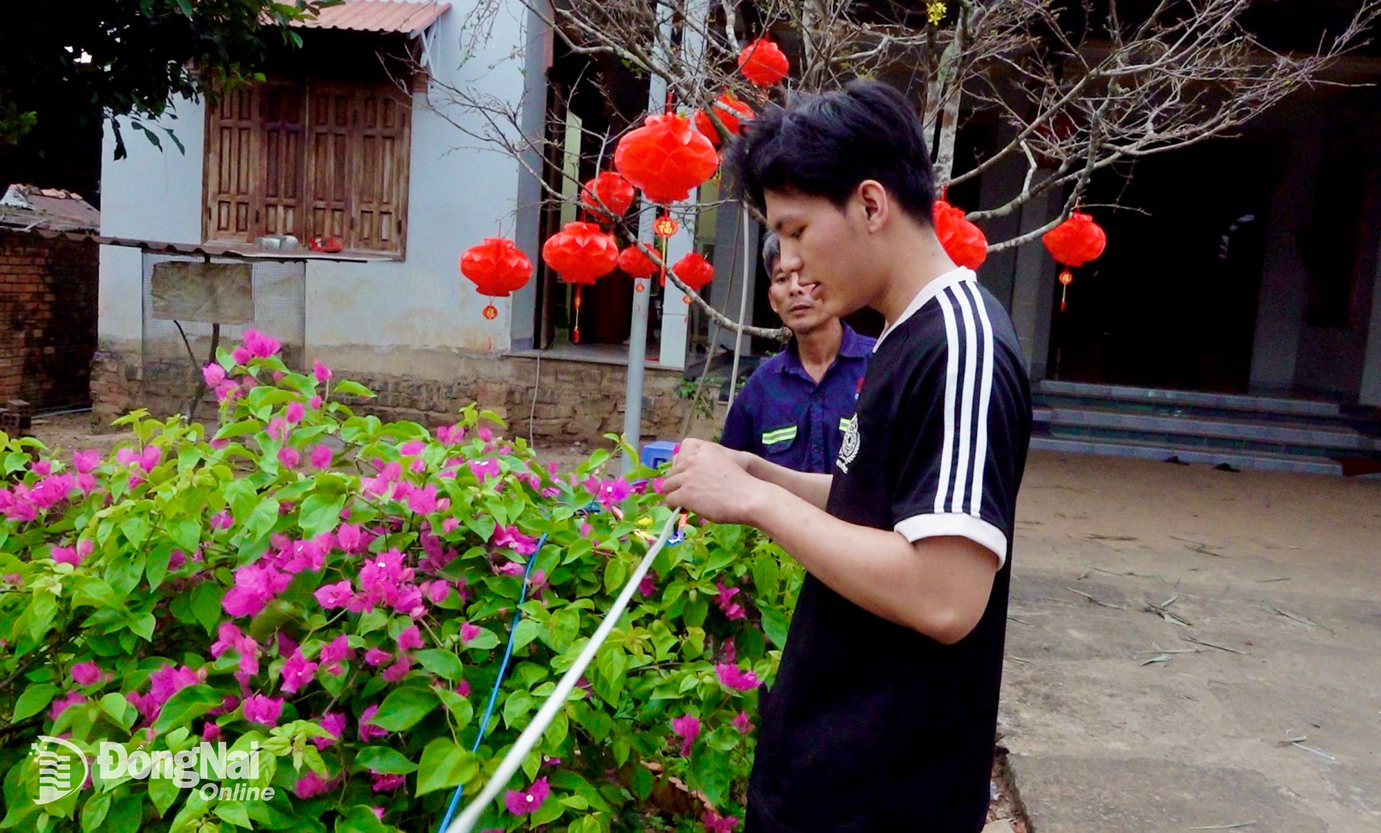Despite being young, Nguyen Huu Hieu deeply appreciates the ancestral tradition of erecting Tet poles. Photo: Quang Huy

