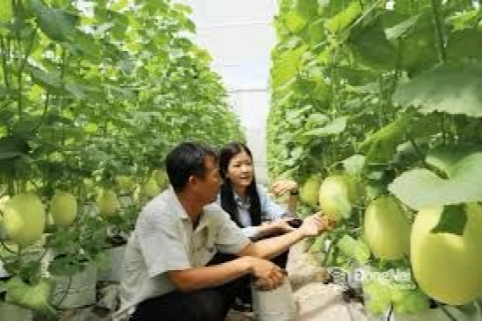 Dong Nai agriculture still has ample room for growth
